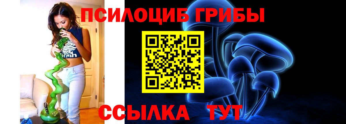 Псилоцибиновые грибы ЛСД Обнинск
